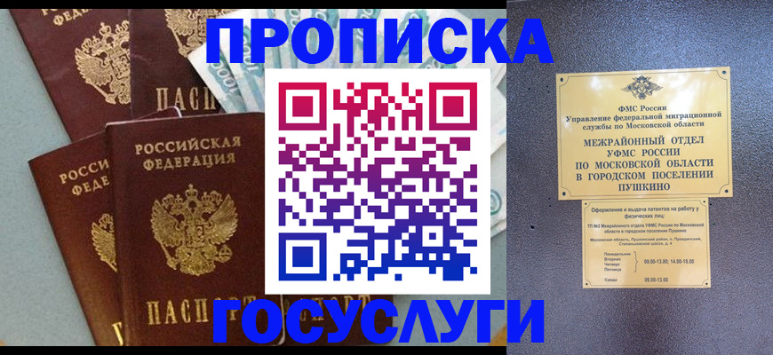 прописка гарантия в Малой Вишере